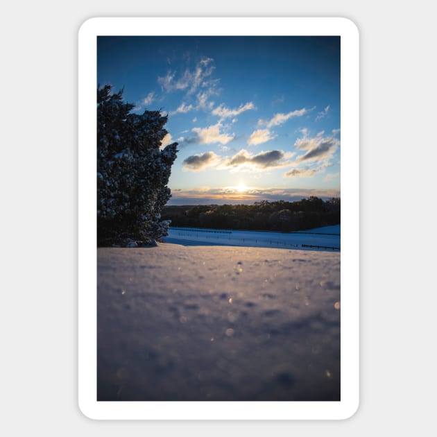 Snowy Sunrise Sticker by jonesing